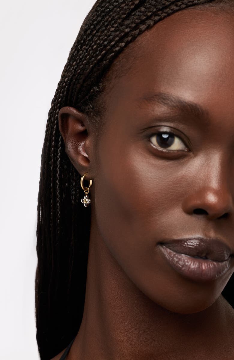 Ana Luisa Liora Drop Hoop Earrings, Alternate, color, Gold / Silver