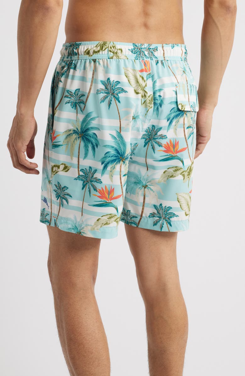 Tommy Bahama Naples Palmero Stripe Swim Trunks, Alternate, color, Spring Sky