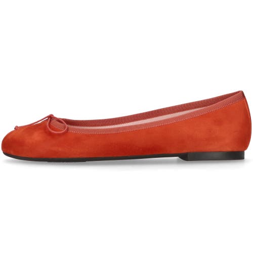 Pretty Ballerinas Round Toe Ballet Flat In Brown