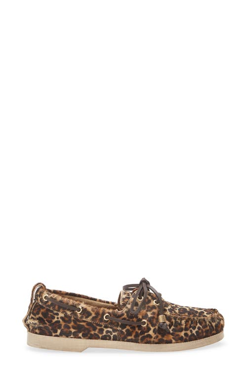Golden Goose Genuine Calf Hair Boat Shoe In Multi