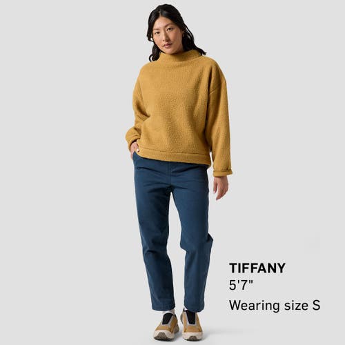 Backcountry Wander Pile-fleece Mock-neck Top In Brown