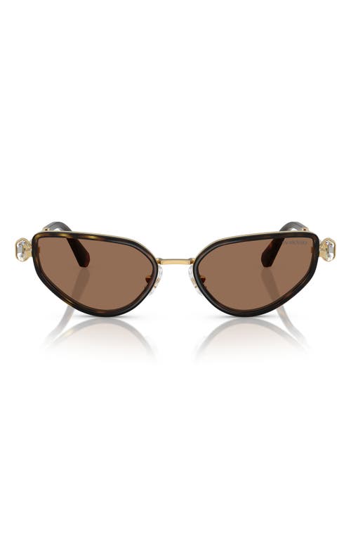Swarovski 56mm Irregular Sunglasses In Black/gold Havana