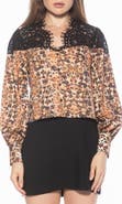 Alexia Admor Bryne Lace Trim Top