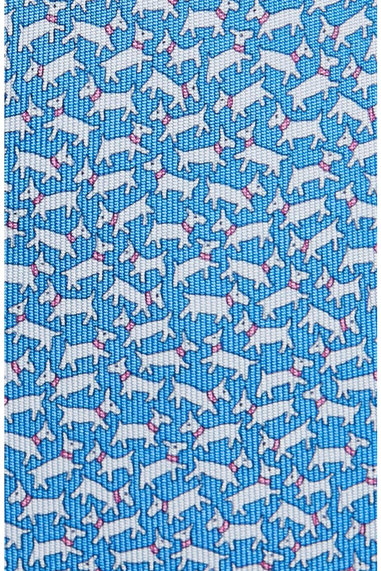 Tobia Print Silk Tie, Alternate, color, AZZURRO