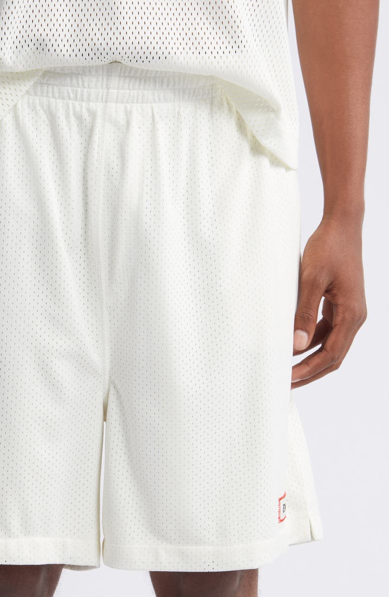 Elwood Mesh Gym Shorts, Alternate, color, Lotus