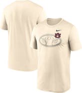 Nike Men's Nike Natural Auburn Tigers Campus Shadow Legend Dri-FIT T-Shirt