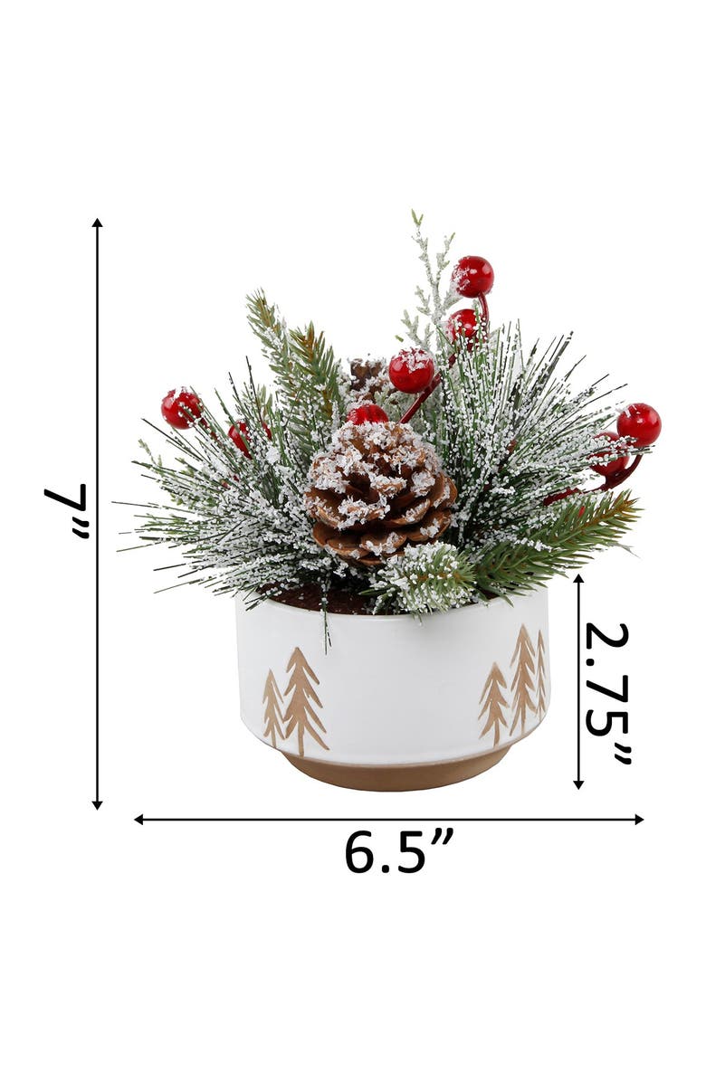 FLORA BUNDA Xmas Mix in Small 4.25" Ceramic Reverse Tree Pot, Alternate, color, White