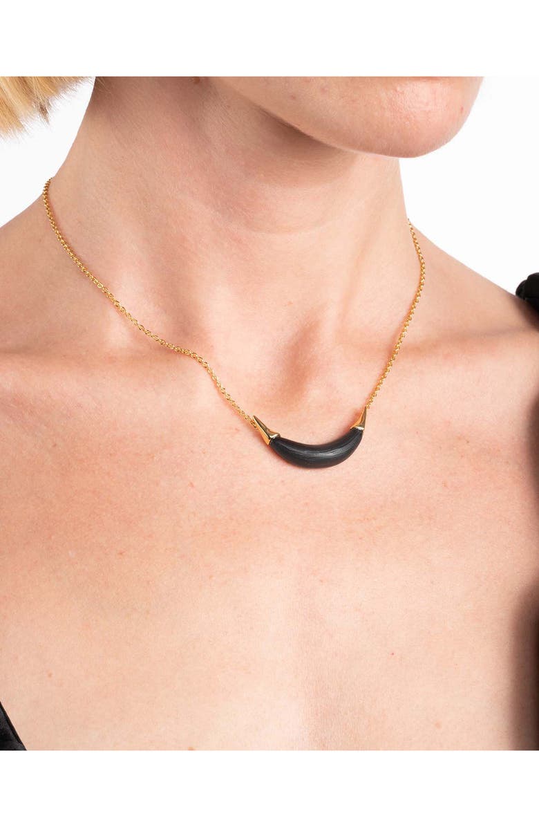 Alexis Bittar Lucite<sup>®</sup> Crescent Pendant Necklace, Alternate, color, 