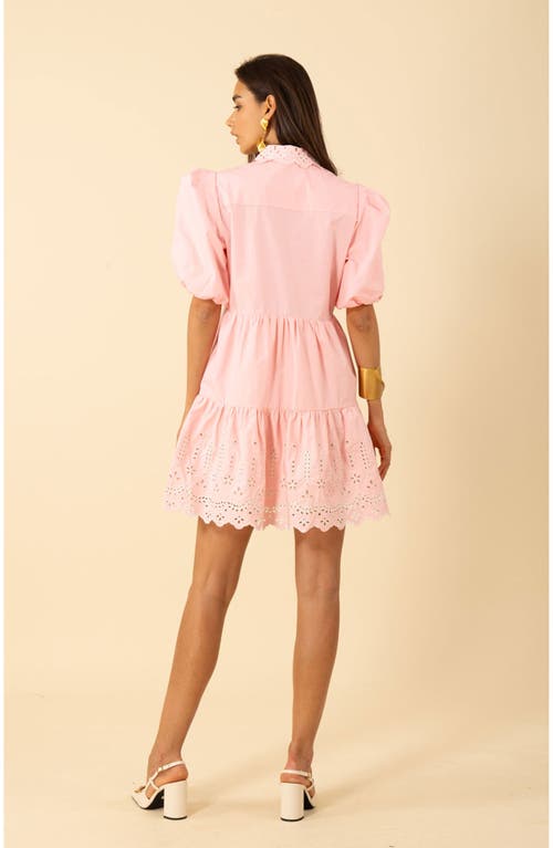 Hale Bob Rayna Embroidered Poplin Dress In Brown