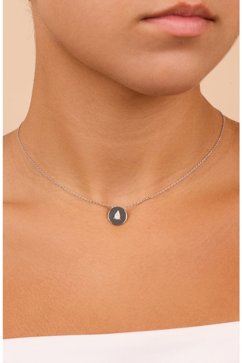 Cassie Cubic Zirconia Circle Pendant Necklace, Alternate, color, SILVER