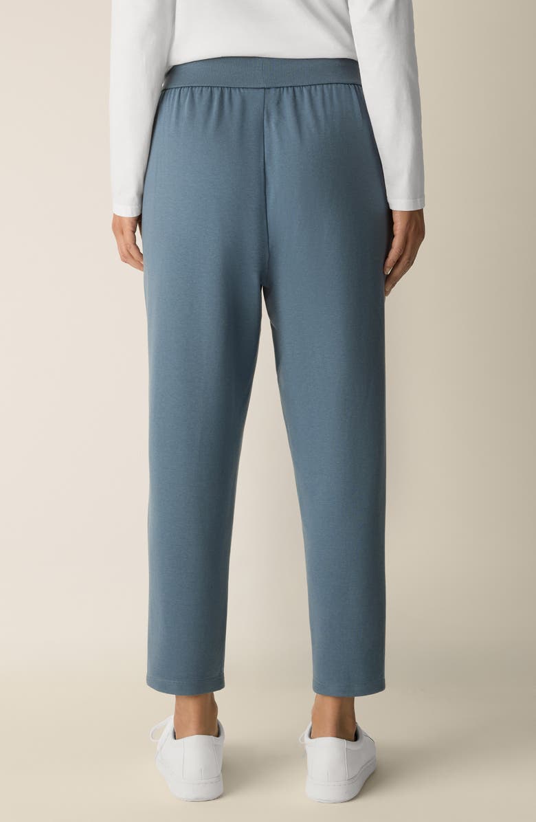 Eileen Fisher Terry Ankle Track Pants, Alternate, color, Sea Spray