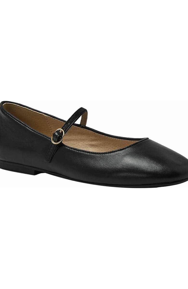 Lands' End Classic Leather Mary Jane Flats, Alternate, color, Black