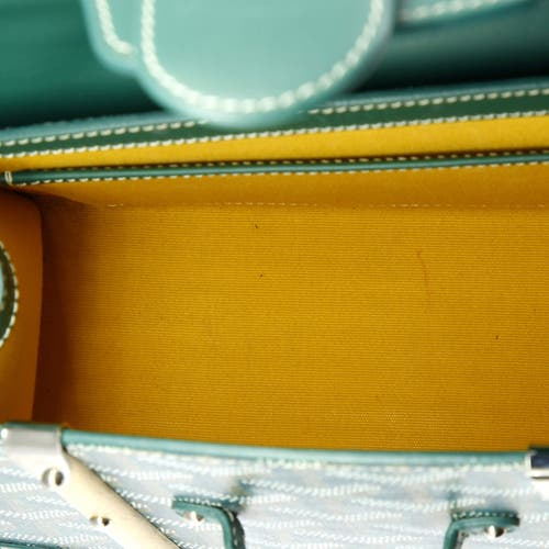 Pre-owned Goyard  Goyard Structured Saigon Top Handle Bag Coated Canvas With Leather Mini In Green