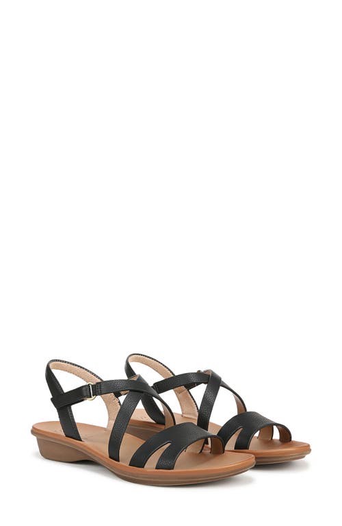 SOUL NATURALIZER SOUL NATURALIZER SHENNA SANDAL