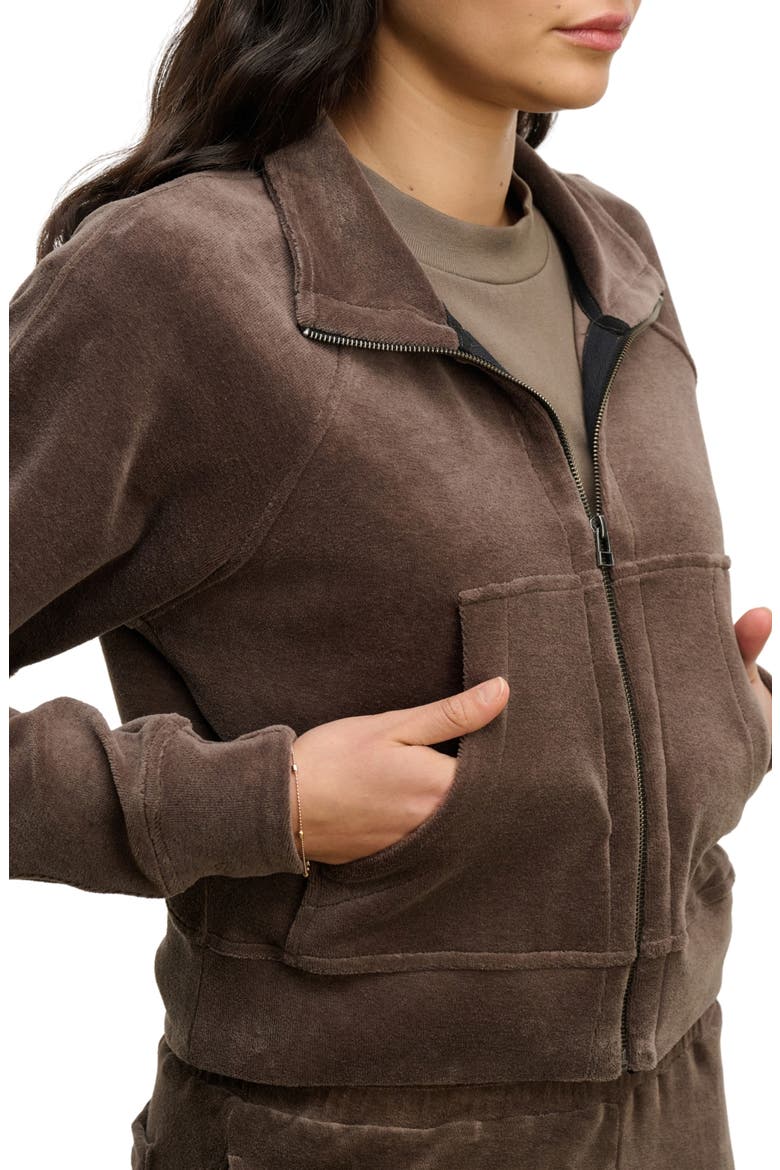 Velour Full Zip Jacket, Alternate, color, CHOCOLATE BROWN