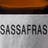 selected Sassafras
