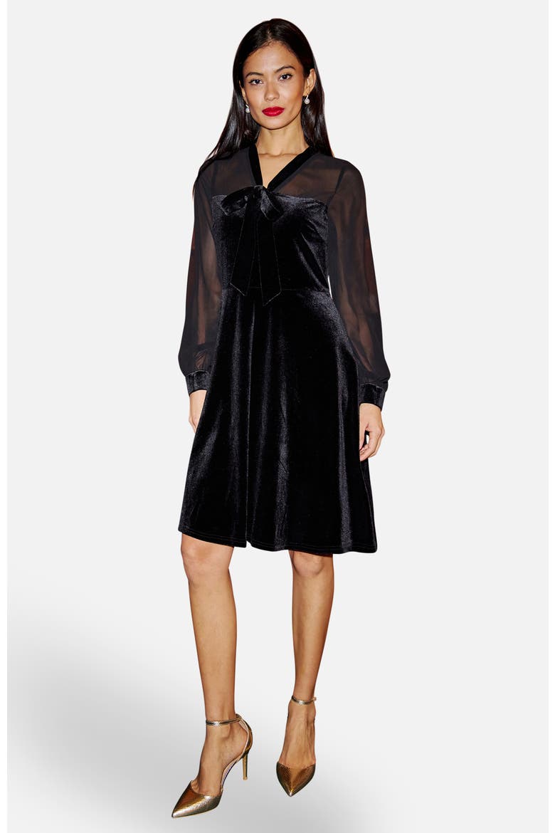 Velvet  Sheer Sleeves Skater Dress, Main, color, Black