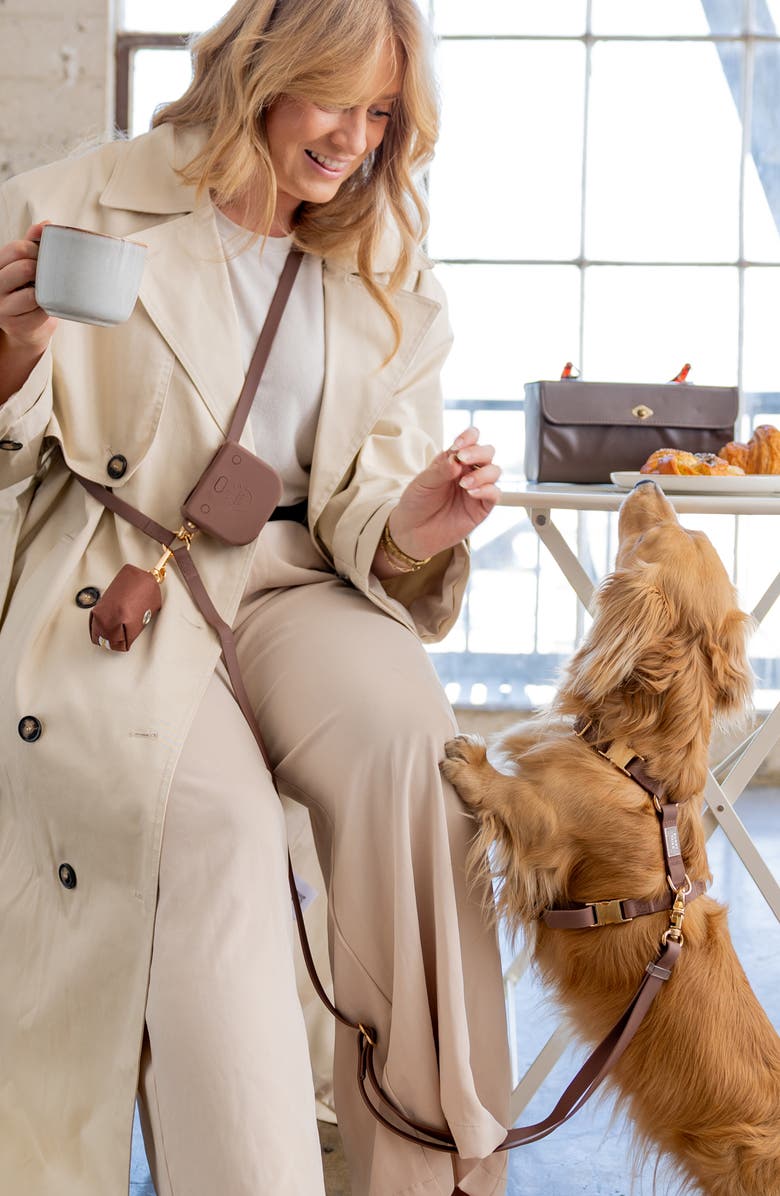 SUNNY TAILS Cloud Lite Waterproof Dog Harness, Alternate, color, Espresso Brown