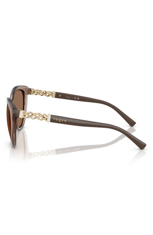 Vogue 53mm Cat Eye Sunglasses In Transparent Brown