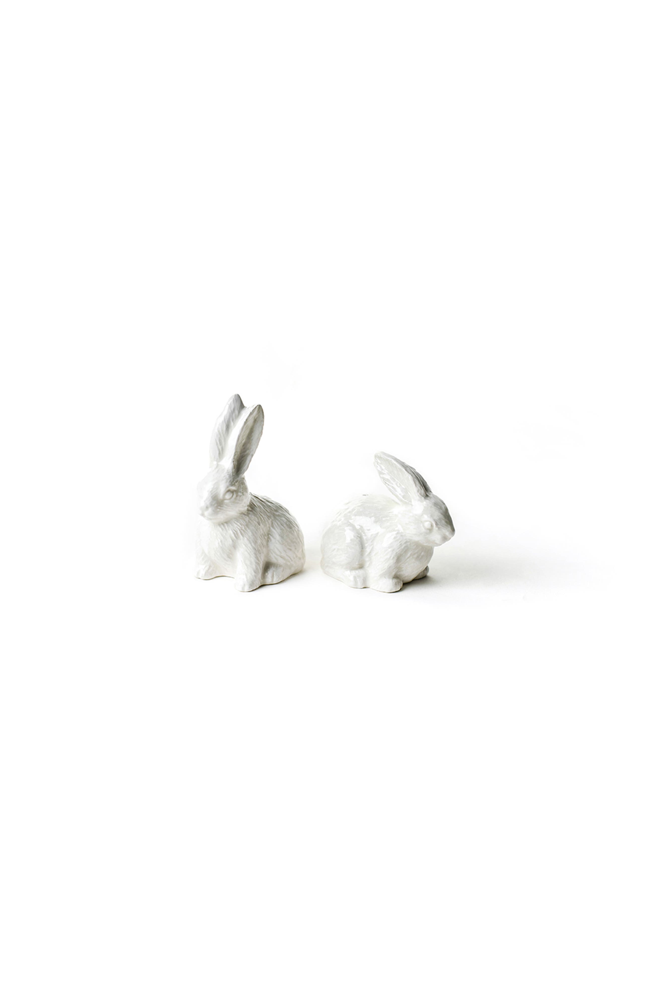 Coton Colors by Laura Johnson Rabbit Salt and Pepper Shaker Set | Nordstrom