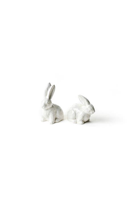 Rabbit Salt and Pepper Shaker Set