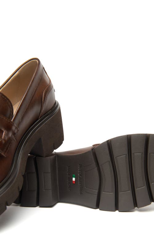 Nerogiardini Lug Sole Loafer In Brown