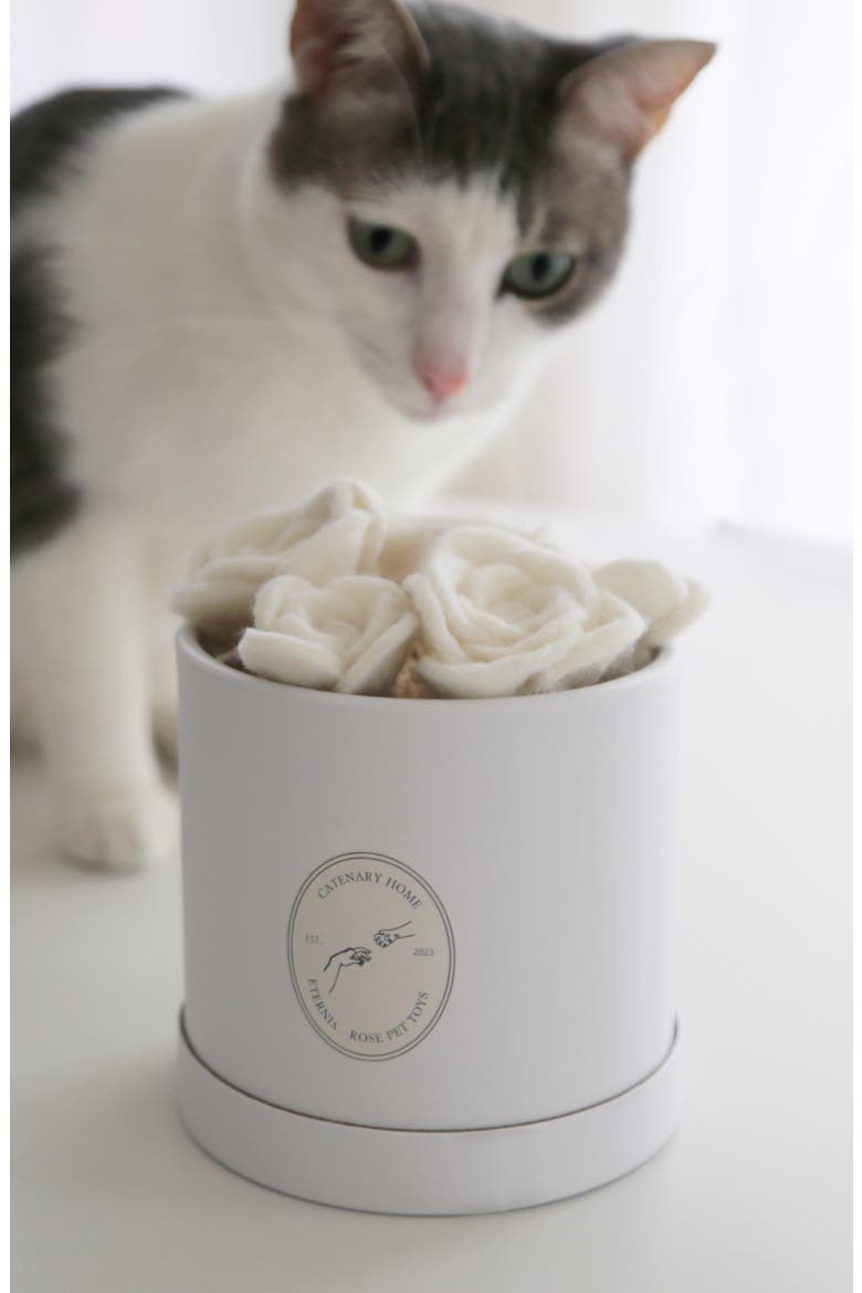 Flora Eterna Cat Toy, Alternate, color, WHITE
