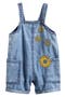 selected Chambray