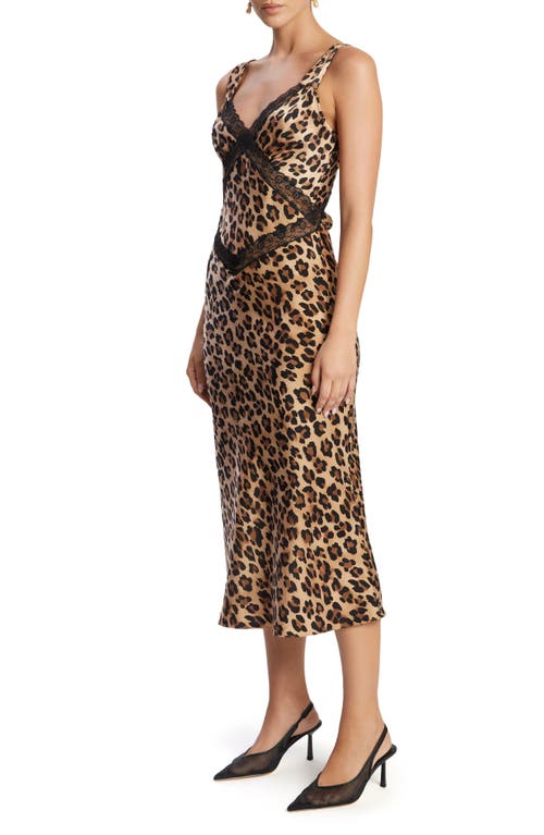 Bardot Emory Leopard Lace Inset Satin Midi Slipdress In Leopard