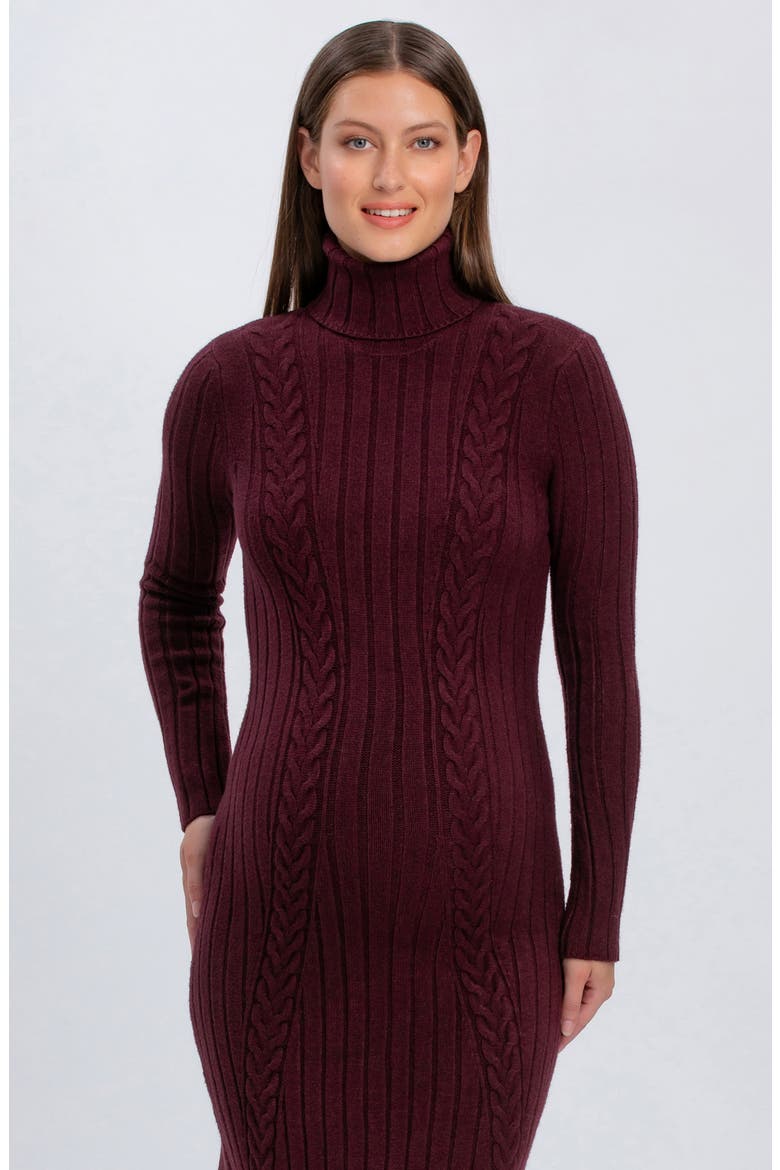 Perla Maternity Sweater Dress, Alternate, color, CHERRY LACQUER