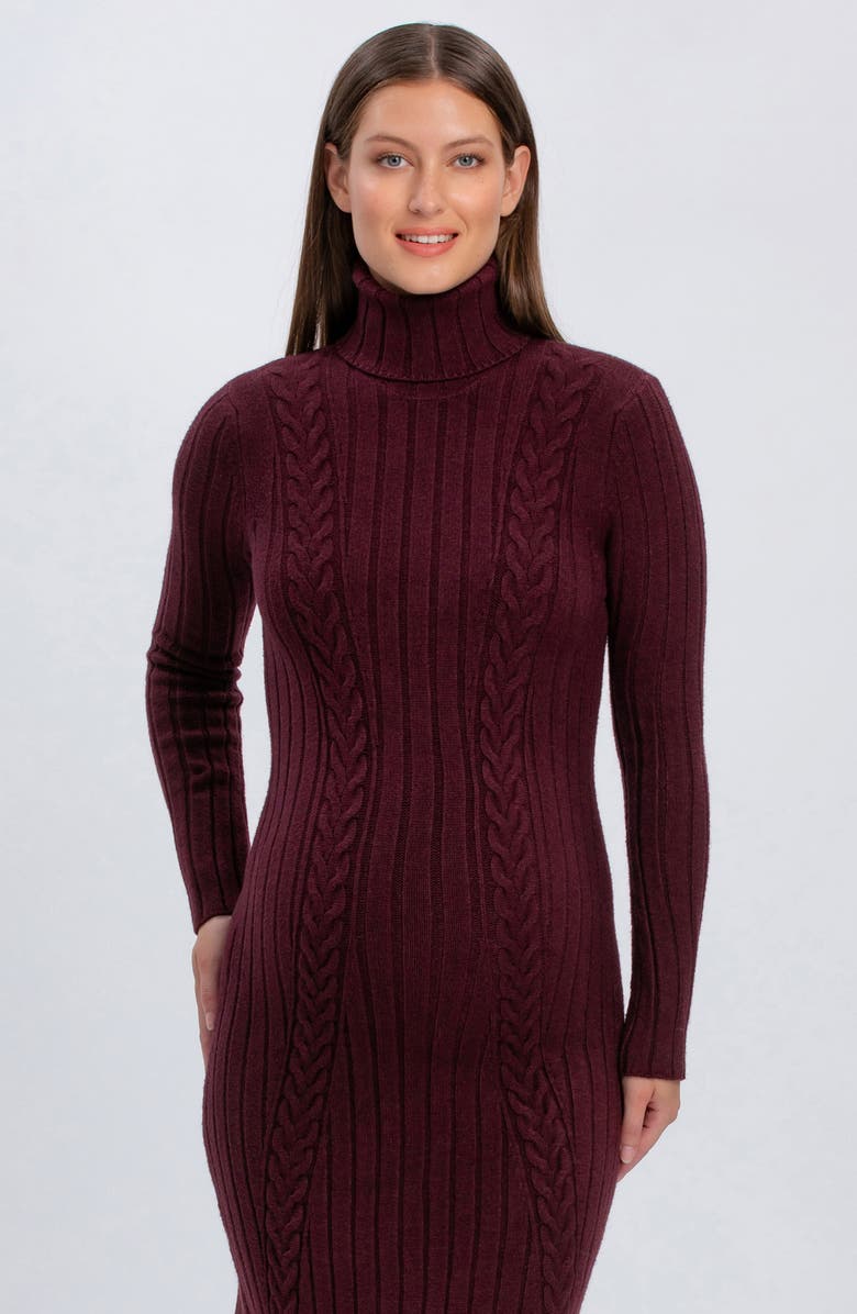 PIETRO BRUNELLI MATERNITY Perla Maternity Sweater Dress, Alternate, color, Cherry Lacquer