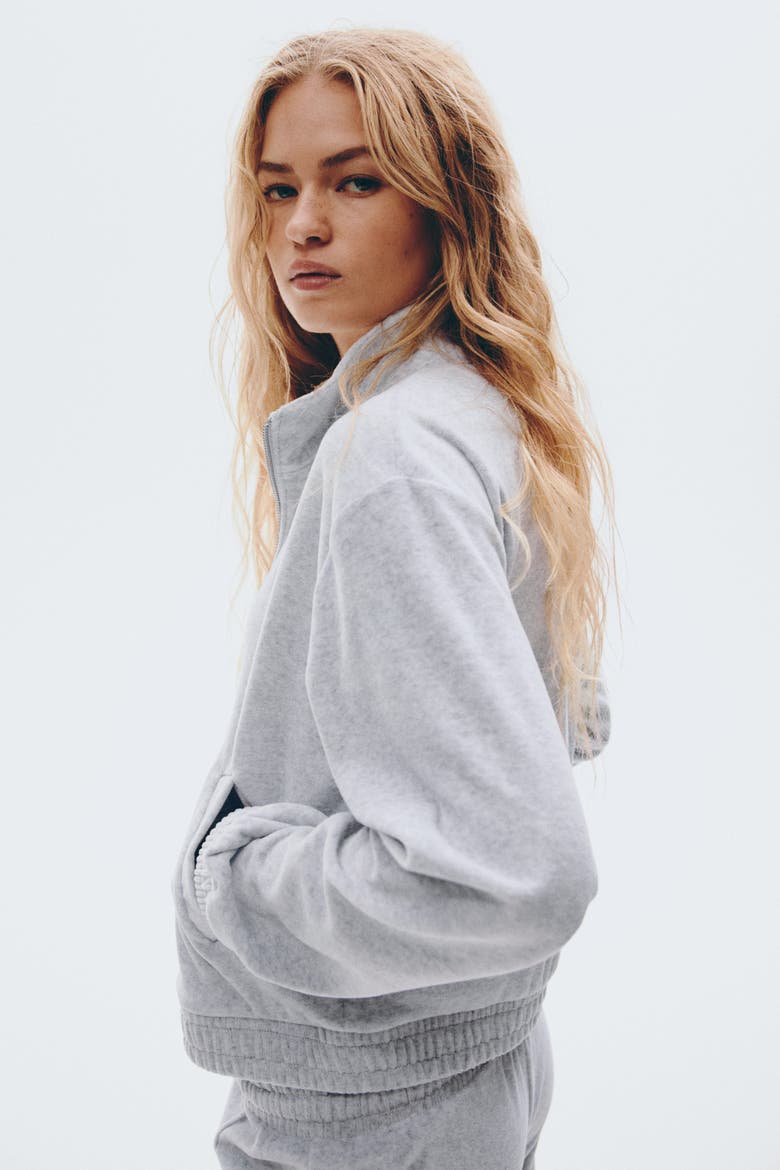 Velour Zip-through Jacket, Alternate, color, Light gray melange
