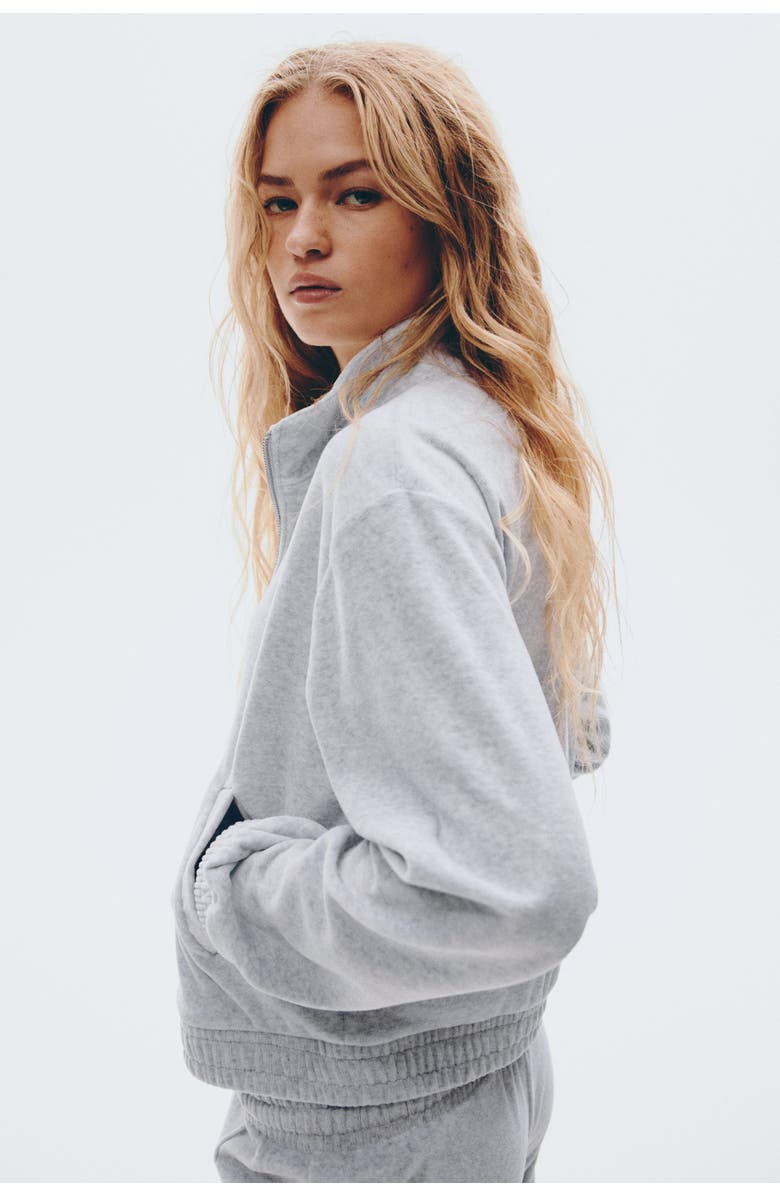 H&M Velour Zip-through Jacket, Alternate, color, Light Gray Melange