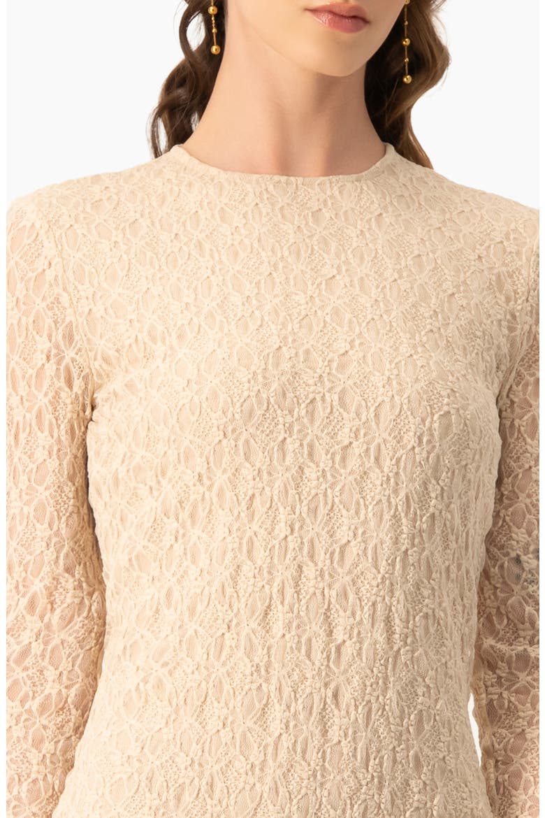 Long Sleeve Fitted Crew Neck Stretch Lace Bodysuit, Alternate, color, Beige