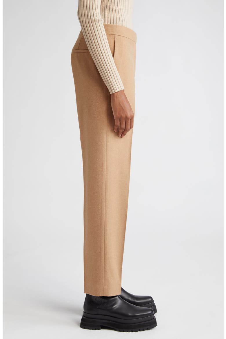 Clinton Camel Hair Ankle Pants, Alternate, color, CAMEL