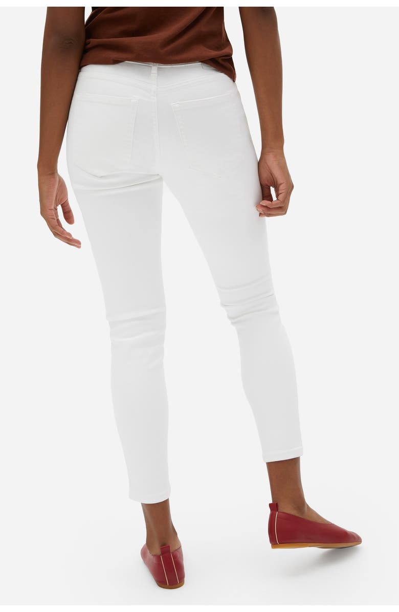 Everlane The Authentic Stretch Mid Rise Skinny Crop Jeans, Alternate, color, 