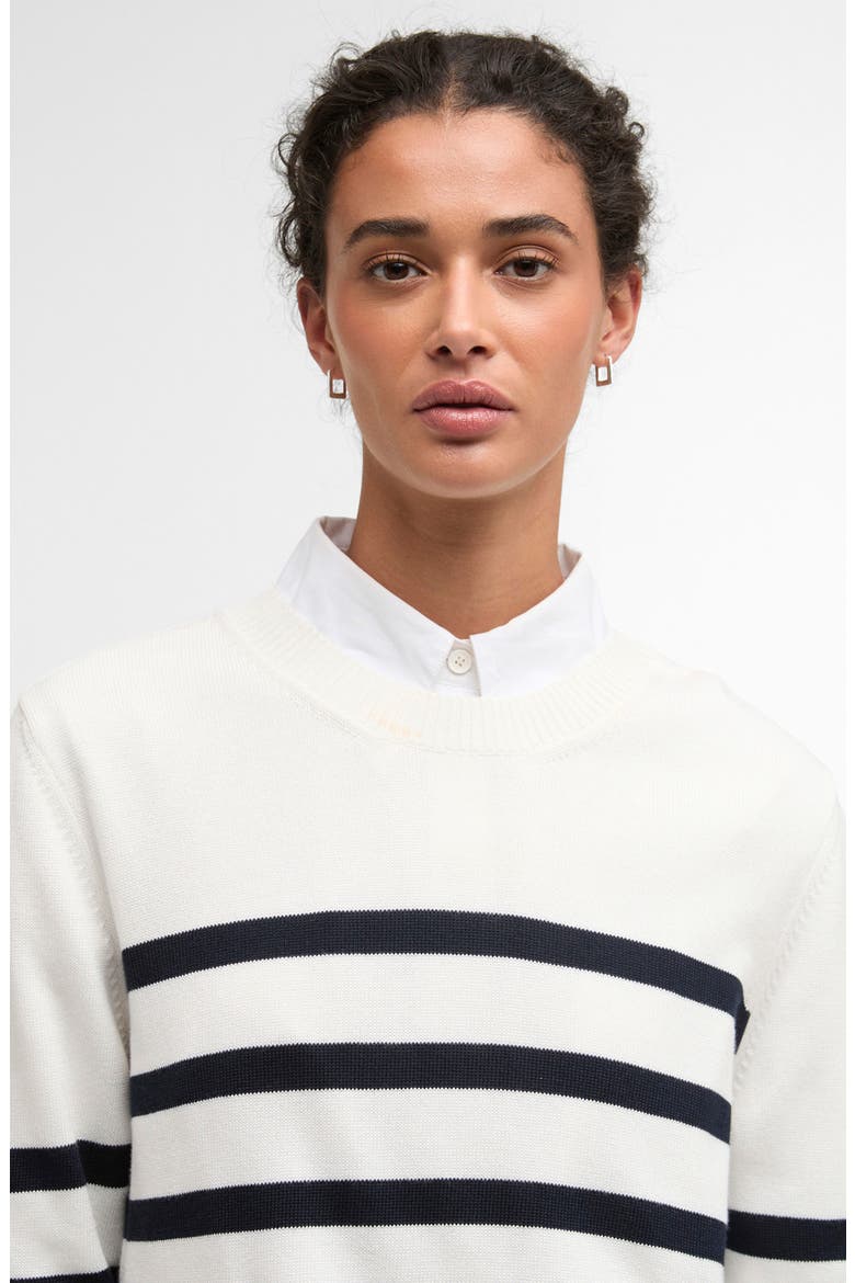 Fern Stripe Sweater, Alternate, color, CLOUD/ NAVY