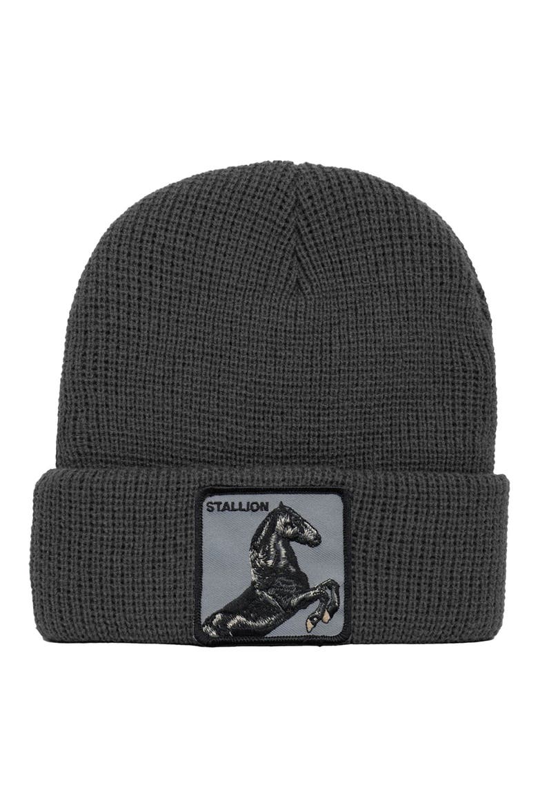 Hoof It Horse Patch Beanie, Main, color, GREY