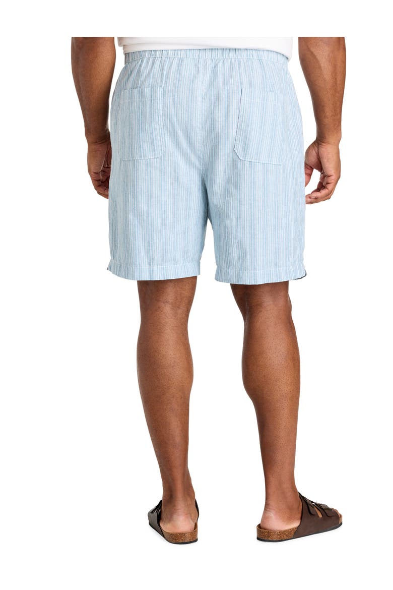 Big & Tall Striped Cabana Shorts, Alternate, color, BLUE MULTI