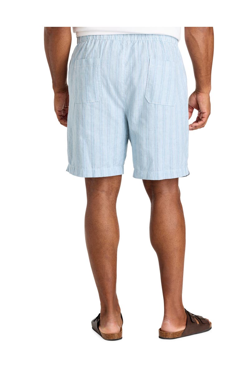Oak Hill by DXL Big & Tall Striped Cabana Shorts, Alternate, color, Blue Multi