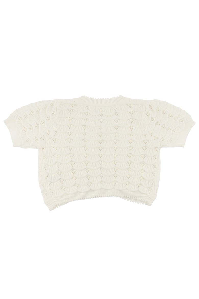 Shell Stitch Juliet Pointelle Short Sleeve Cardigan, Alternate, color, Cream