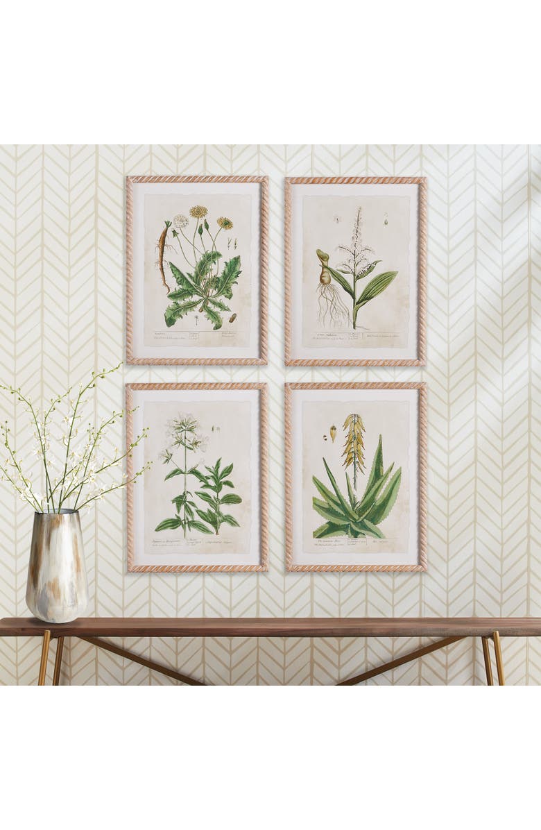 Napa Home & Garden Vintage Botanical Study Set of 4, Alternate, color, Green