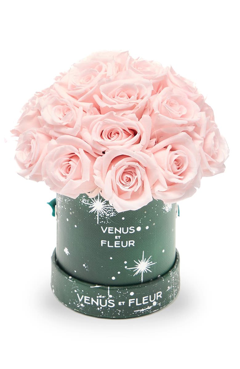 Venus ET Fleur Mini Le Plein Zodiac Pink Eternity Roses<sup>®</sup>, Main, color, Blush