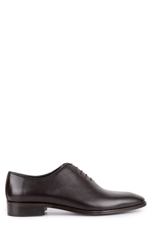 Vellapais Newark Oxford In Dark Brown