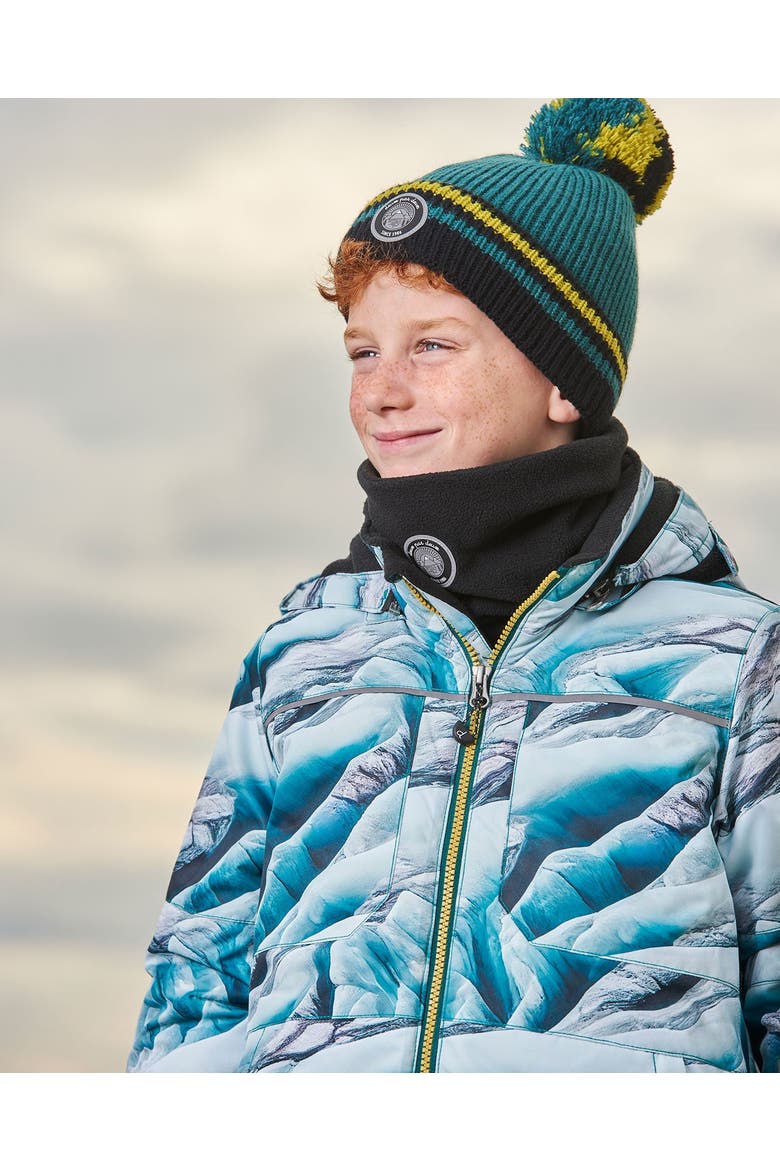 Boy's Knit Hat Forest Green, Alternate, color, Bayberry