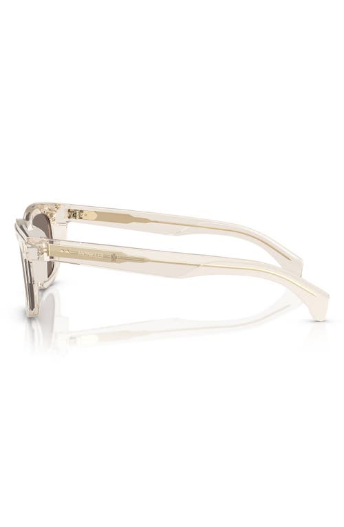 Moncler Unisex Sunglass Me6004 Claro In Gold