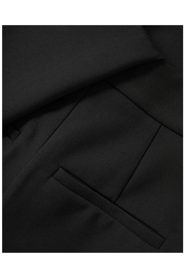 Renzo Flat Front Pants, Alternate, color, BLACK