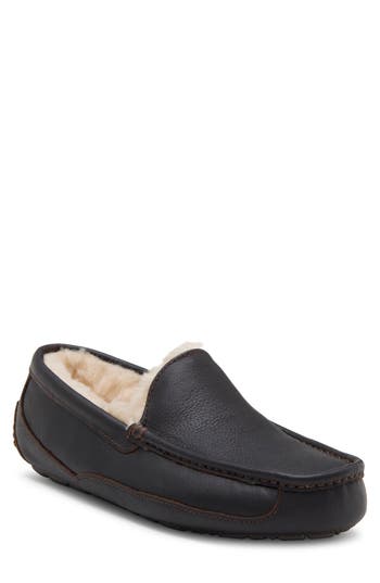 Ugg ® Ascot Loafer Slipper In Ctea