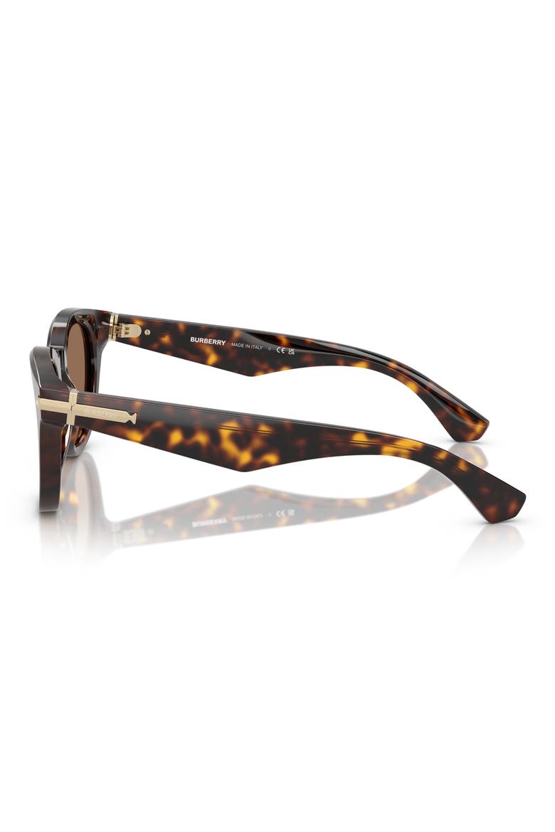 51mm Round Sunglasses, Alternate, color, DARK HAVANA