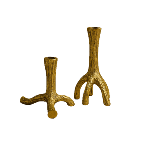 Rooted Candle Holder